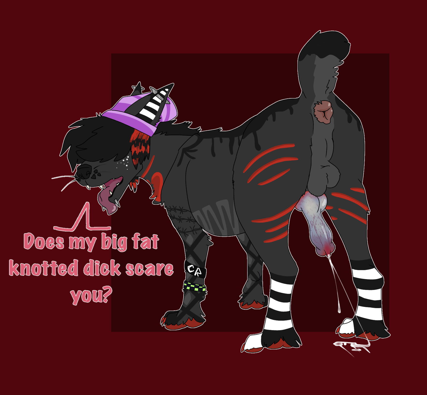 dog penis