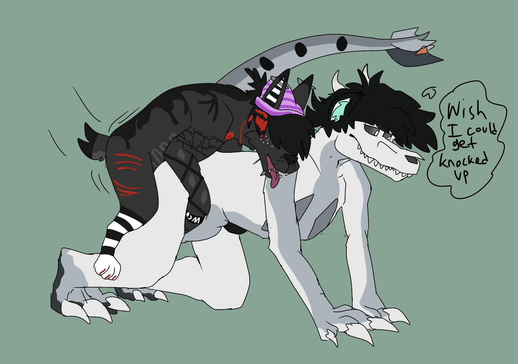 ferals